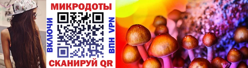 Псилоцибиновые грибы Magic Shrooms где найти МЕГА Новосокольники
